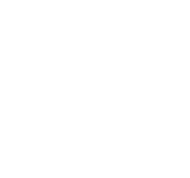 Pillar practices illustration